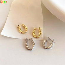 Load image into Gallery viewer, Kshmir Geometric Metal Earrings Women&#39;s fashion exquisite ear buckle jewelry 2023
